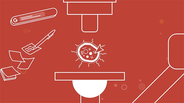 McGraw Hill Virtual Lab